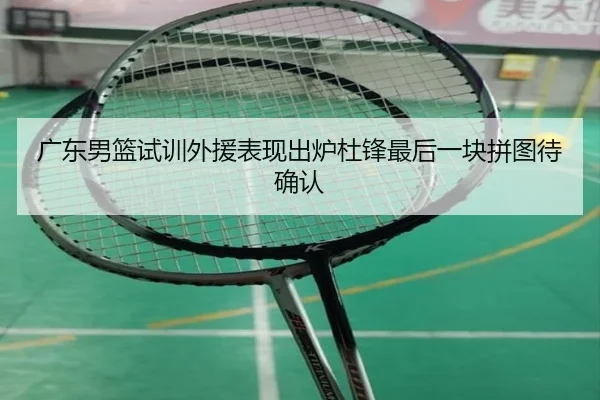 广东男篮试训外援表现出炉杜锋最后一块拼图待确认（mksportsapp）